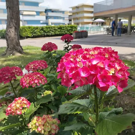 Monolocale Valbella Daire