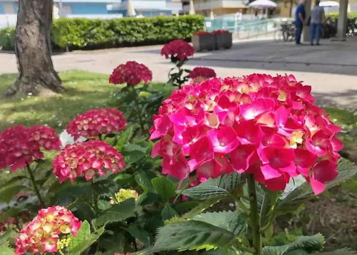 Monolocale Valbella Apartman